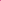Fuchsia Fuchsia